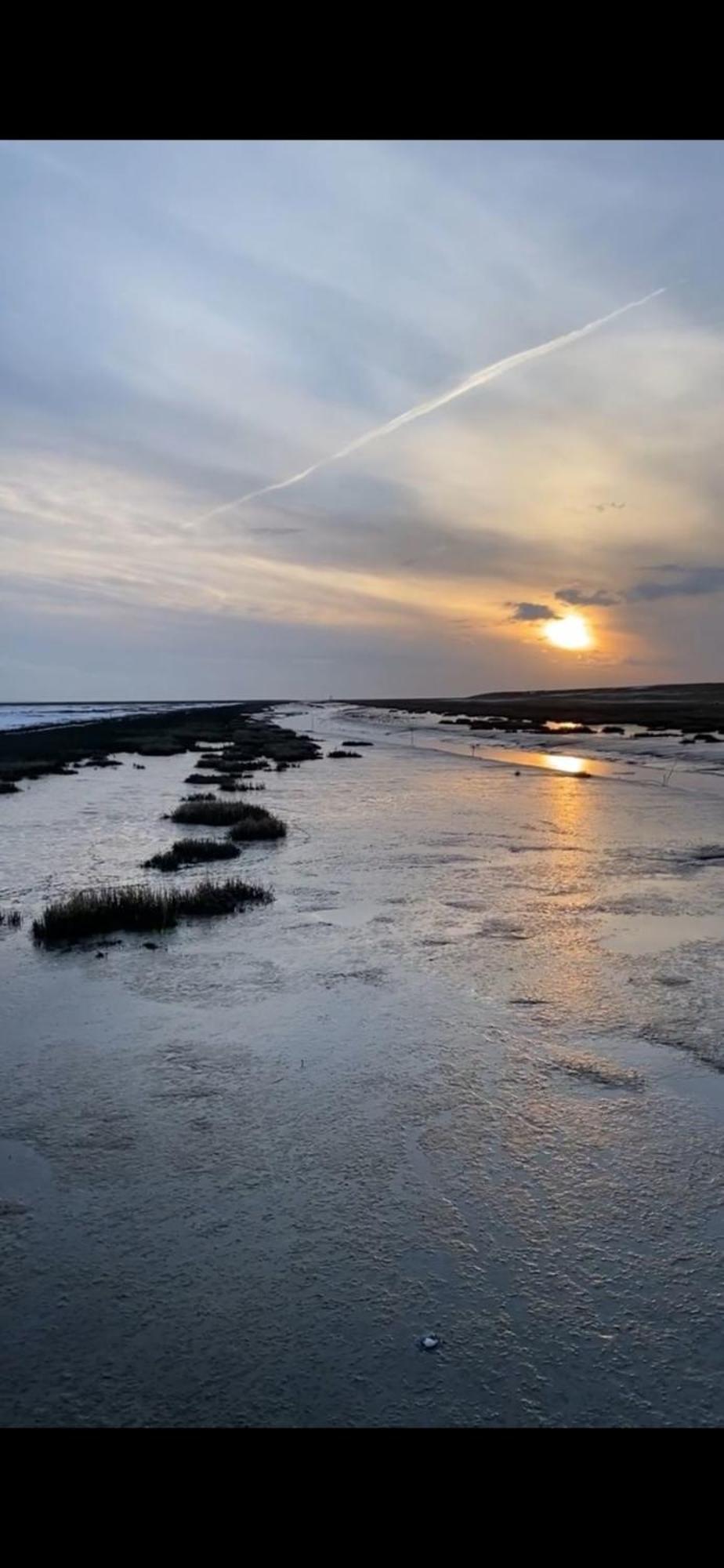 Ankerhus Lägenhet Friedrichskoog Exteriör bild